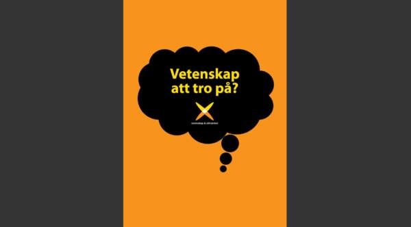 va-rapport2009_3