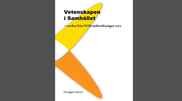 ViS_2013_2