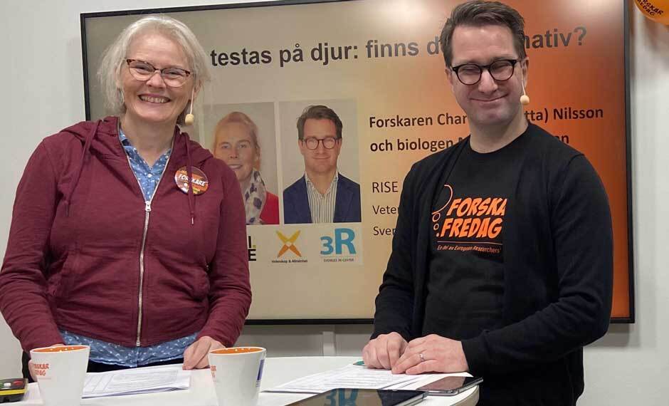 Människan testar mediciner på djur: finns det alternativ?