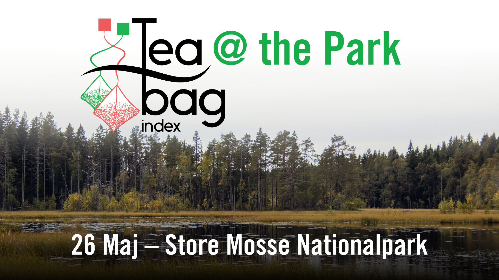 Tea at the Park i Store Mosse