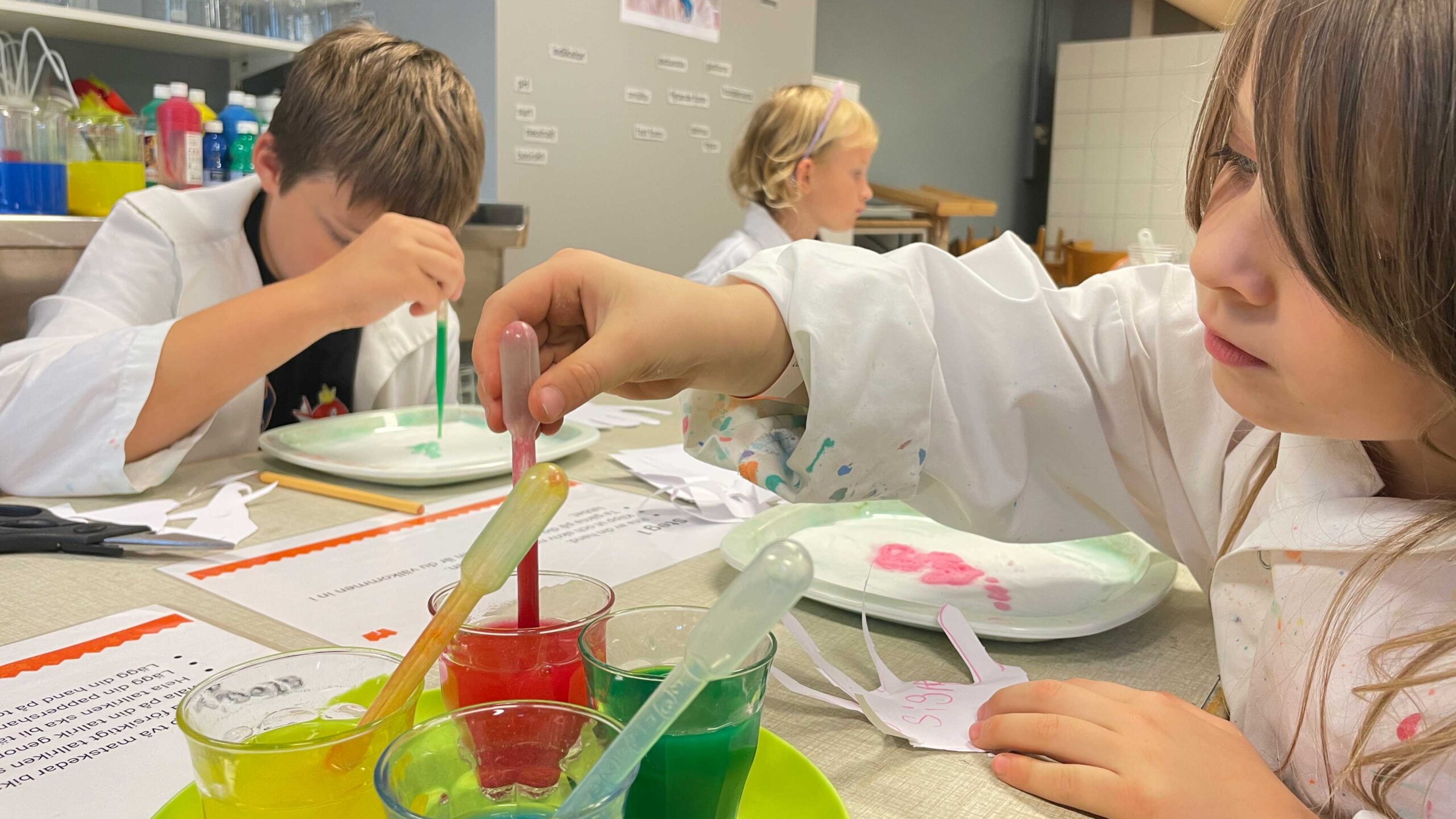 Grundskolan måste förbereda fler för naturvetenskapliga utbildningar