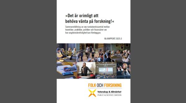 VA-rapport2025_3