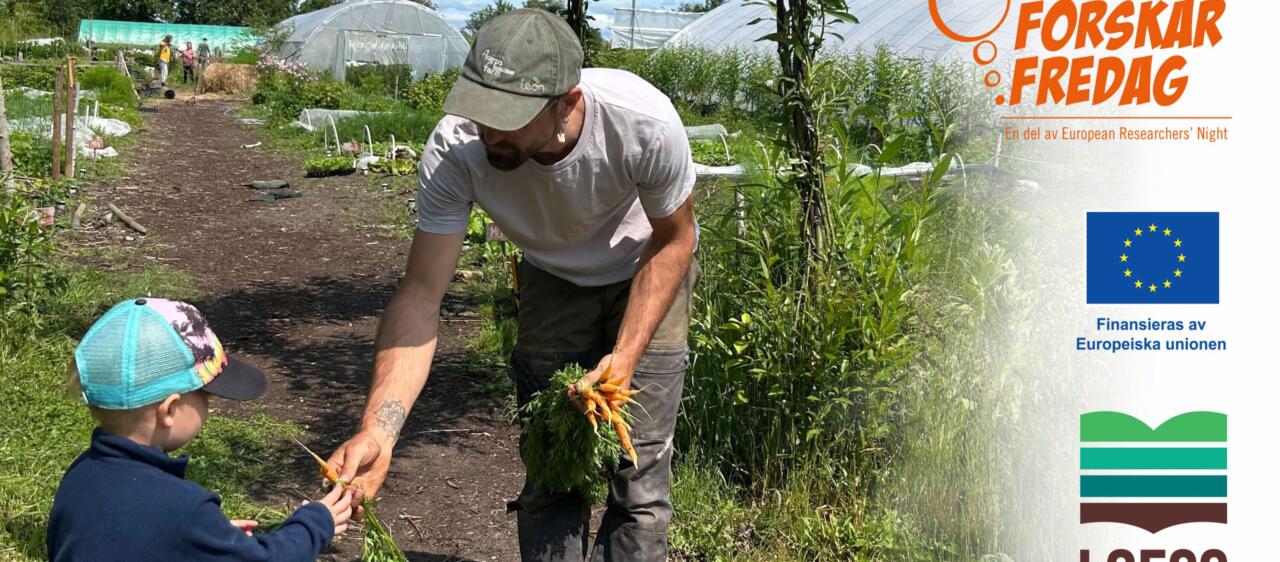 loessalnarp-scaled