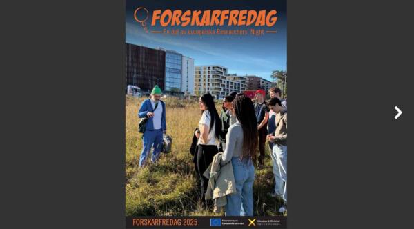 rapport2025 (1)