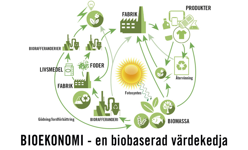 bioekonomi