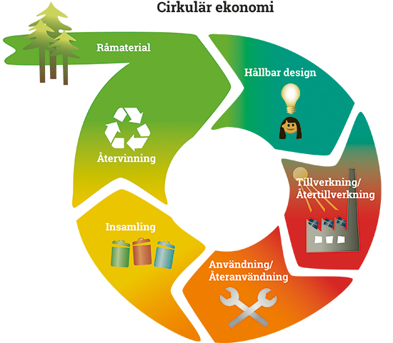 Cirkulär ekonomi