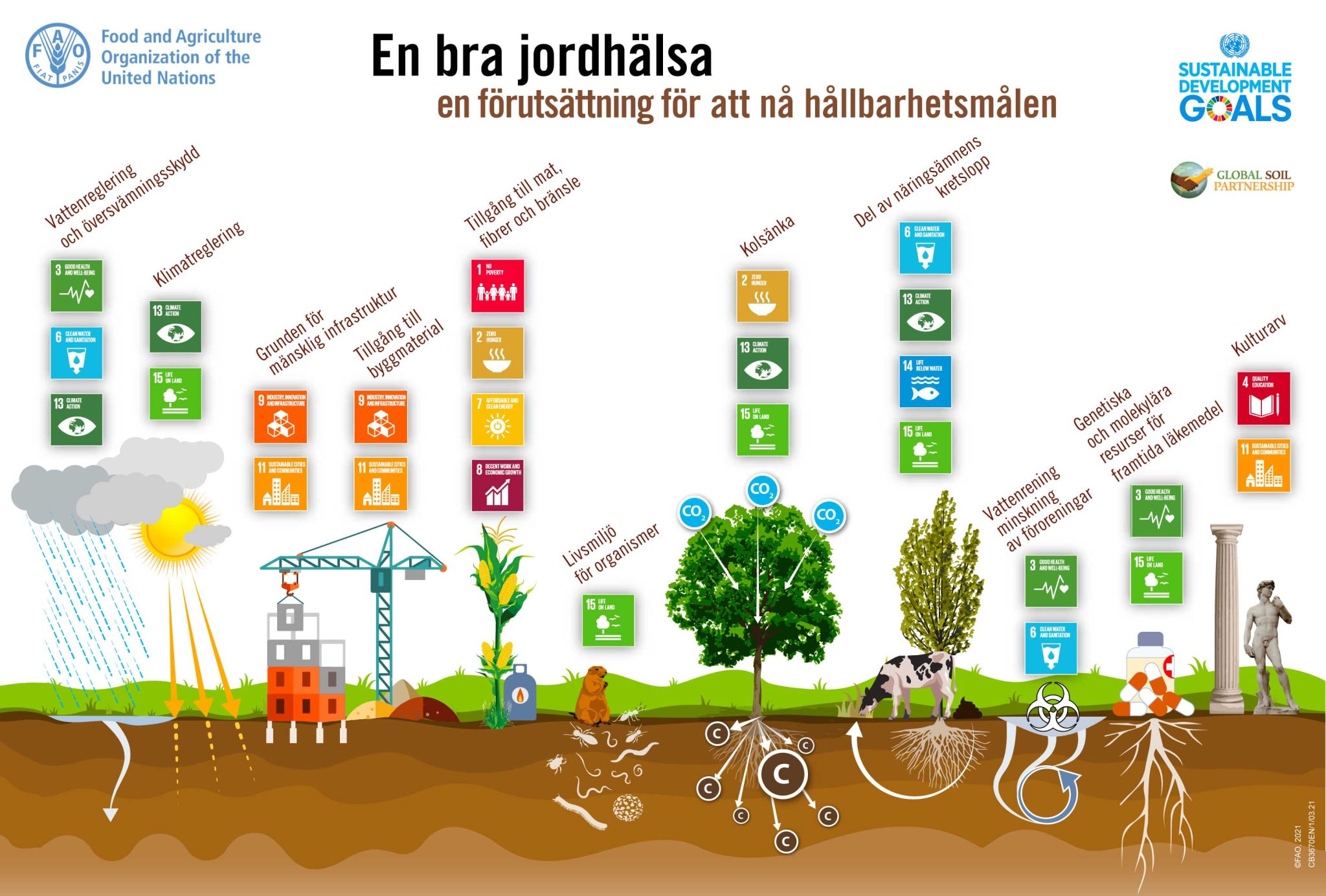 soilSDG