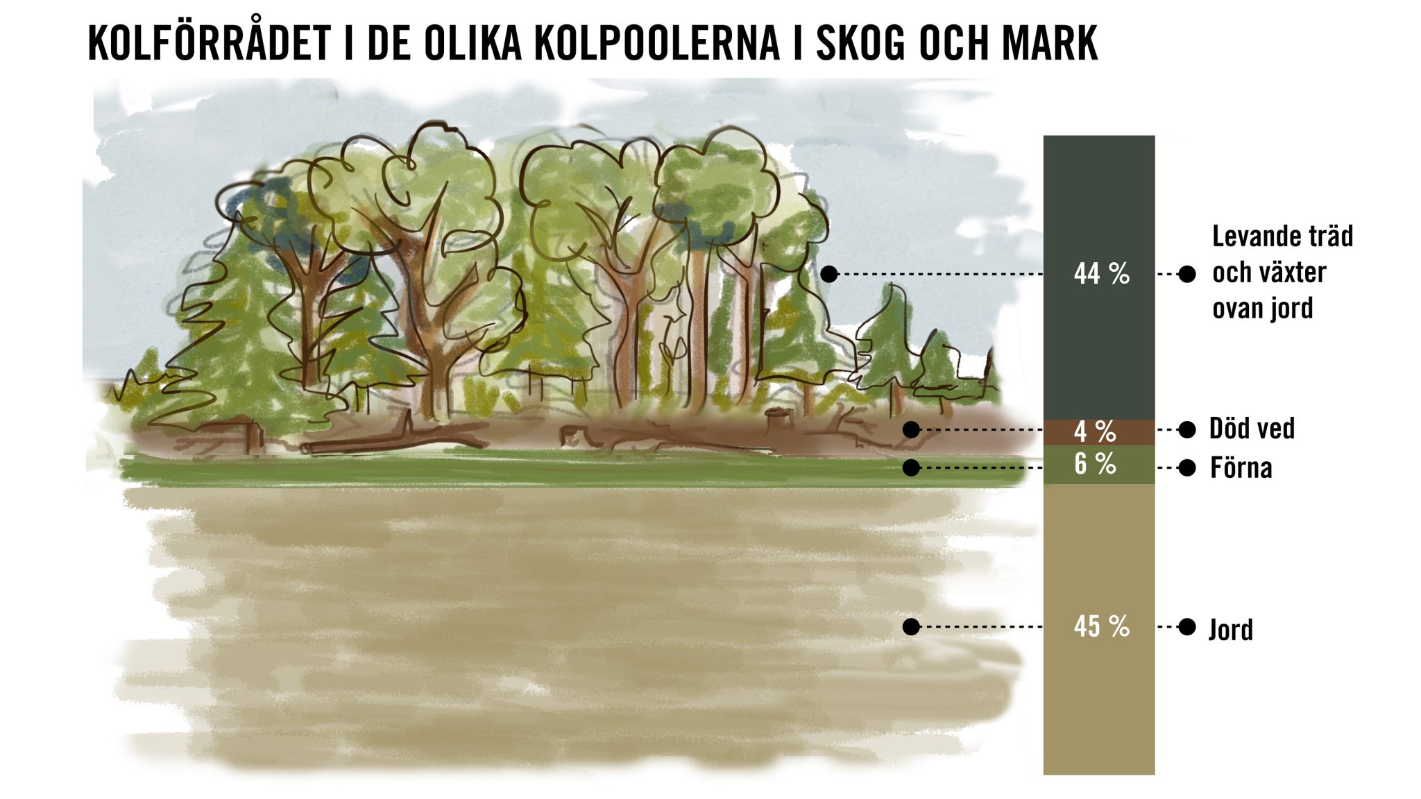 kolförråd