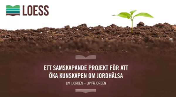 loess-1536×864