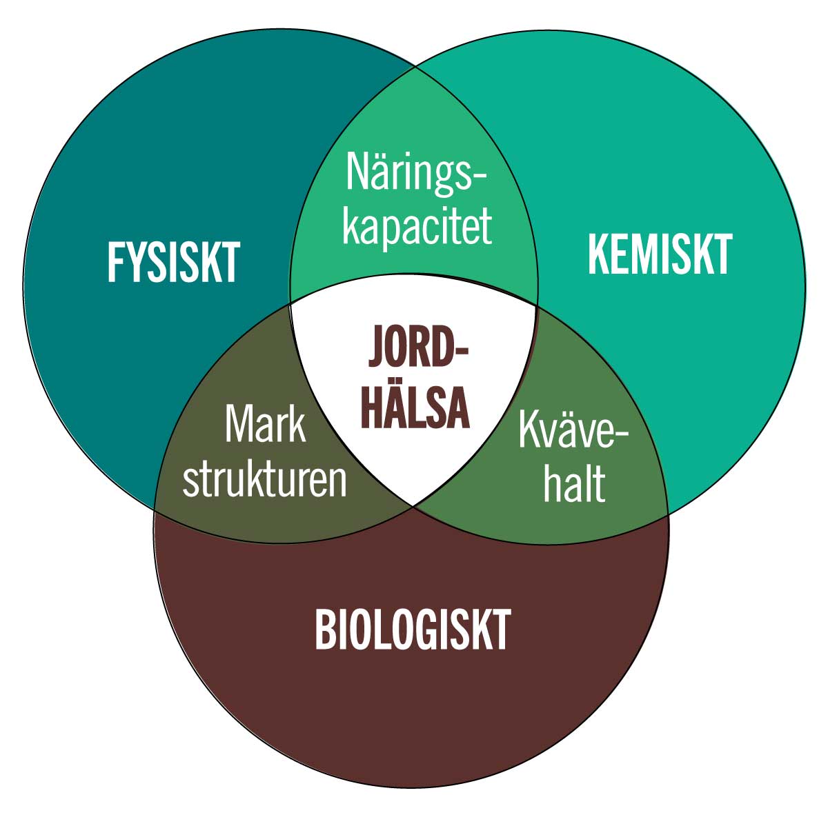 jordhälsa