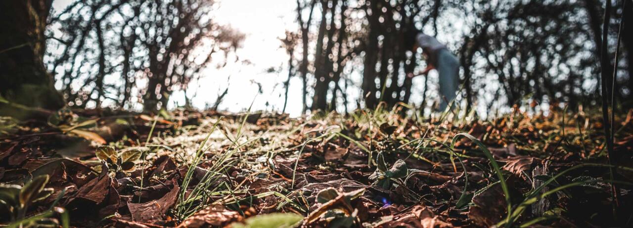soil-unsplash